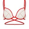 Apologise Red Bra -Lingerie Boutique Shop 20210206 100441 0000