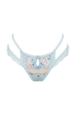 Sorbet Rose Thong Panty -Lingerie Boutique Shop 2022.08.30.ForLove Lemons16840