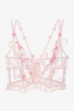 Greenhouse Garden Bustier -Lingerie Boutique Shop 2023.01.30.ForLoveAndLemons28940