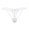 BLUEBELLA Nova Thong (Ivory) -Lingerie Boutique Shop 34802.iv bluebella nova thong ivory white bottoms sexy lingerie a 7