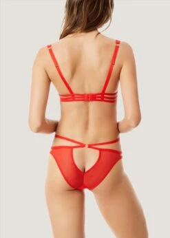 BLUEBELLA Julienne (Red) Bra -Lingerie Boutique Shop 40608.rd bluebella julienne bra nonpadded red sexy lingerie g