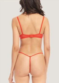 BLUEBELLA Priscilla (Red) Bra 12 BLUEBELLA Priscilla (Red) Bra -Lingerie Boutique Shop 40922.rd bluebella priscilla bra red sexy lingerie underwire nonpadded g 1