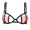 BLUEBELLA Bellana Non Padded Bra -Lingerie Boutique Shop 40963 bluebella bra underwire non padded terra cotta black pink lace sexy lingerie a