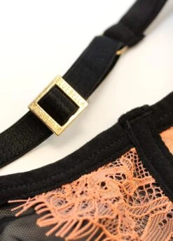 BLUEBELLA Bellana Non Padded Bra -Lingerie Boutique Shop 40963 bluebella bra underwire non padded terra cotta black pink lace sexy lingerie h