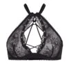 AGENT PROVOCATEUR Vallentina High Neck Underwired Bra (Black) -Lingerie Boutique Shop agent provocateur vallentina high neck underwired cross neckbra black lace luxury lingerie A