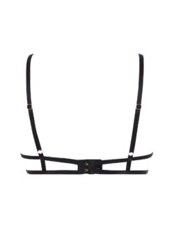 BLUEBELLA Aurora Open Bra (Black/Gold) -Lingerie Boutique Shop bluebella aurora open bra underwired cupless gold black ultra sexy lingerie H