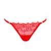 BLUEBELLA Grace Thong (Red) -Lingerie Boutique Shop bluebella grace thong tomato red lace gstring underwear sexy lingerie A